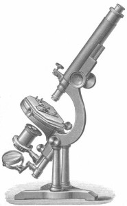 B-model_microscope_illustration
