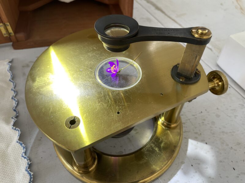 mounted on a Zentmayer dissection microscope